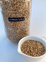 Karakılçık Buğday Unu - 1 KG