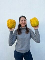 Bergamot - Paket