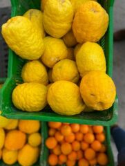 Bergamot - Paket
