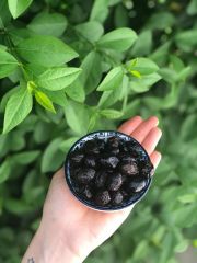 Siyah Sele - 650G