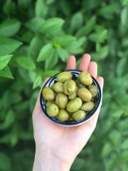 Kırma Karamani - 400G